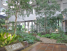 191111アマダ1 屋内庭園「PATIO」