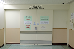 170202b3 この扉の向こうに未知の世界が待っている。心臓がブンブンいうのを抑えられない。