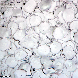 花びらのような新加工条件を用いた加工面（Flower Pattern)　