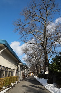 240415黒田精工2